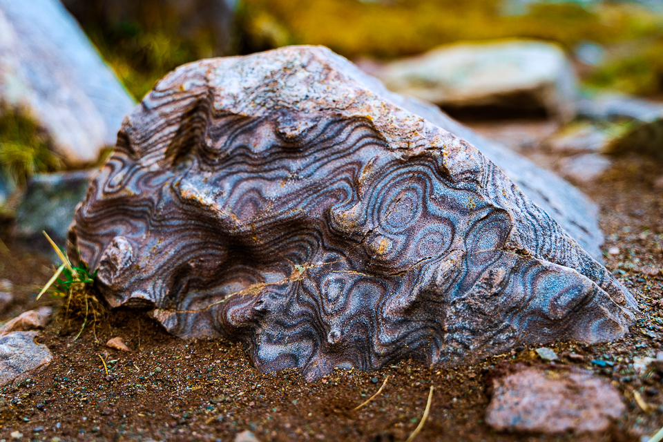 Colorful rock found along Henry's Fork Trail